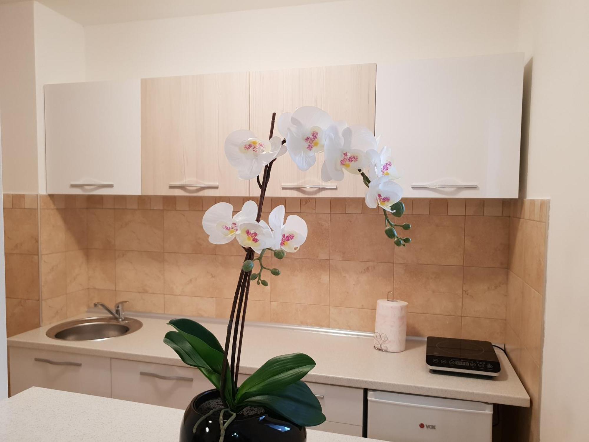 Apartman Kej Free Parking Kraljevo Zewnętrze zdjęcie